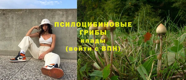 гашик Покровск