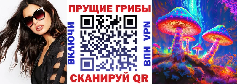 Купить где  Находка  Галлюциногенные грибы прущие грибы 