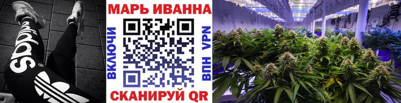 Купить  Находка  Бошки Шишки SATIVA & INDICA 